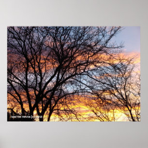 Poster Arbres nus au coucher du soleil
