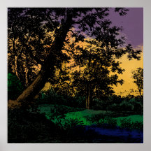 Arbres par étang au coucher du soleil