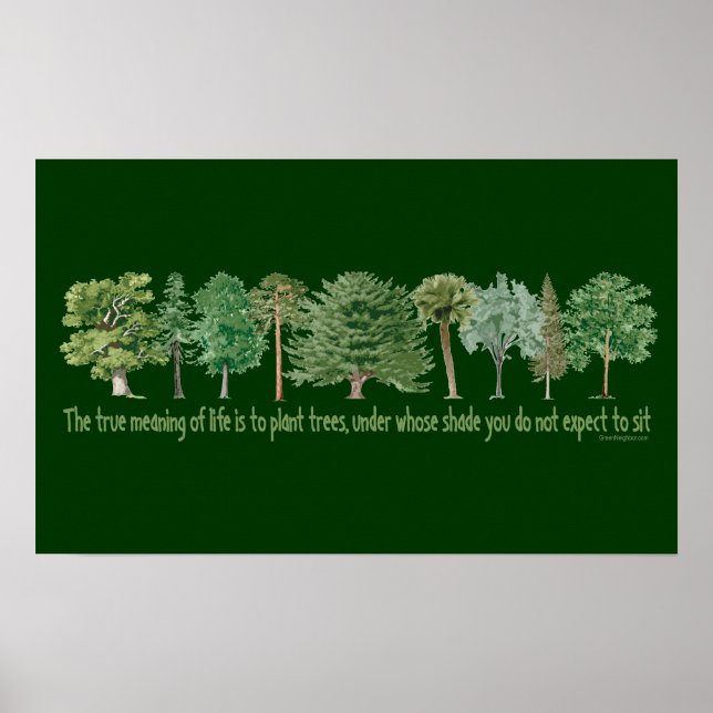 Poster Arbres plantes (Devant)