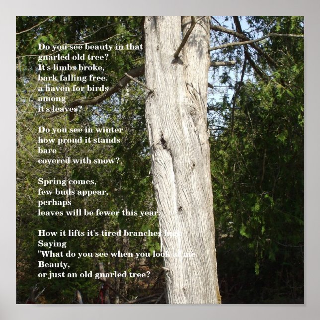 Poster Arbres pour la Journée de l'Arbour (Devant)