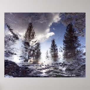 Poster Arbres réfléchissant dans l'eau de la flaque de pl