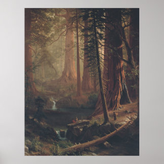 Poster Arbres séquoias géants de Californie