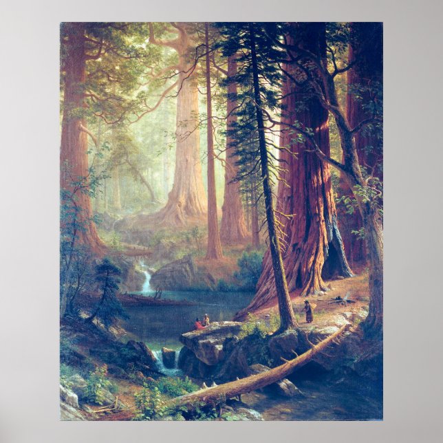 Poster Arbres séquoias géants de Californie Albert Bierst (Devant)