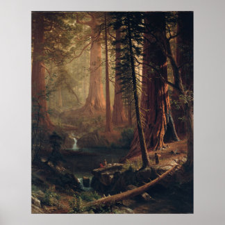 Poster Arbres séquoias géants de Californie Albert Bierst