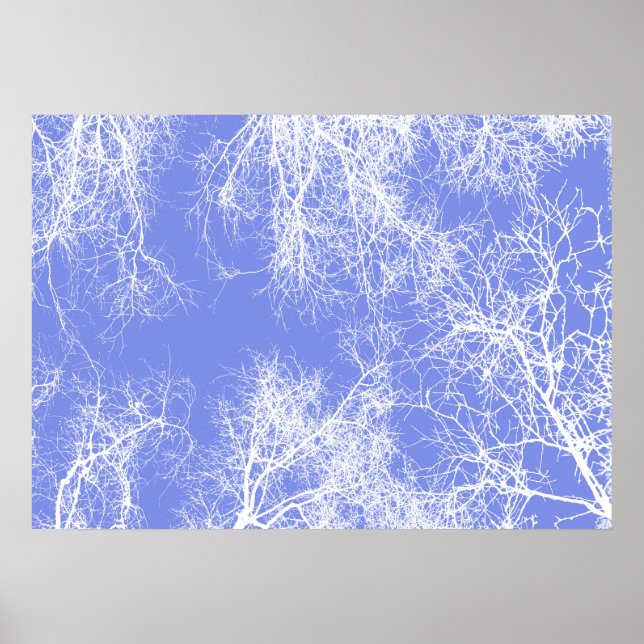 Poster Arbres silhouettes bleus et blancs (Devant)