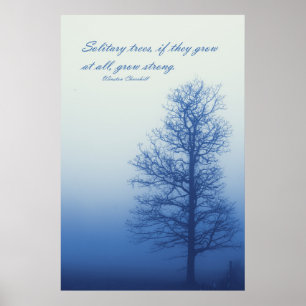 Poster Arbres solitaires poussent fort - Silhouette dans 