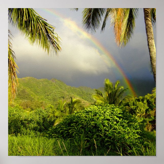 Poster Arc-en-ciel-Hakipuu (Devant)