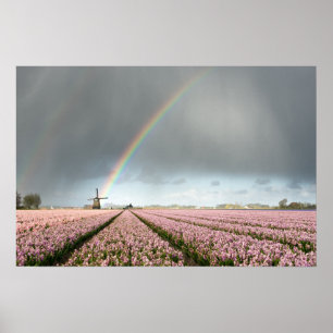 Poster Arc-en-ciel sur des jacinthes et un moulin à vent