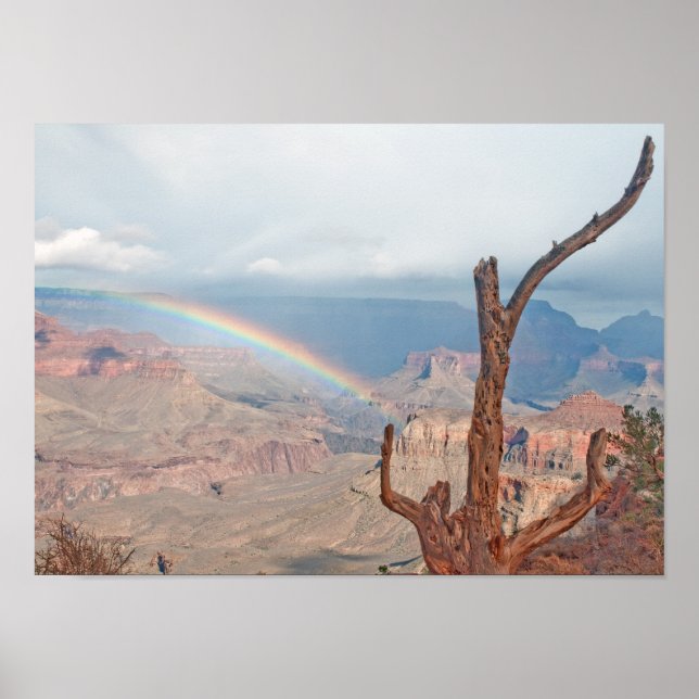 Poster Arc en ciel sur le Grand Canyon (Devant)