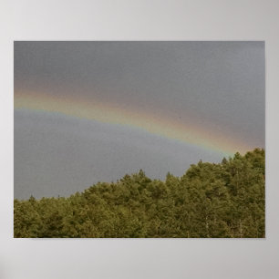 Poster Arc-en-ciel surnuméraire, au-dessus de la forêt à