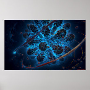 Poster Archaea