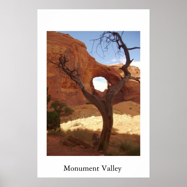 Poster Arche (Devant)