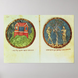 Poster Arche de Noé et Adam et Ève