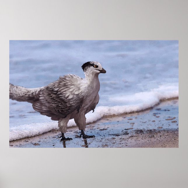 Poster Archéopteryx des oiseaux de rivage (Devant)