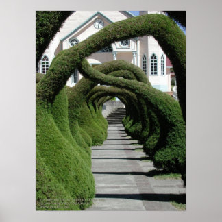 Poster Arches de Topiary à Zarcero, Costa Rica