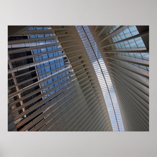 Poster architectural spiderweb (Devant)