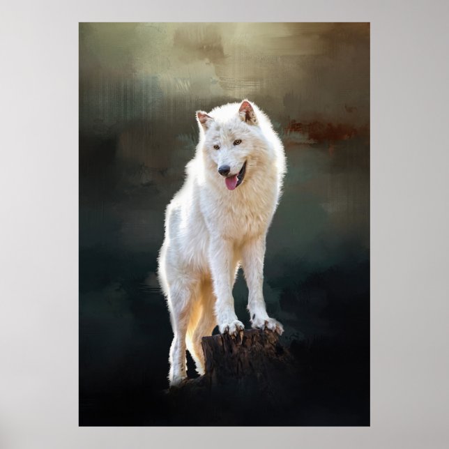 Poster Arctic wolf (Devant)