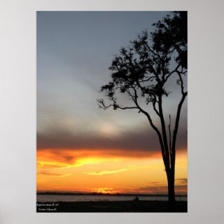 Poster argent et or