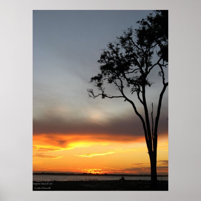 Poster argent et or (Devant)