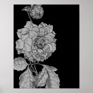 Poster Argent Peony Flower Sur Black Floral Art