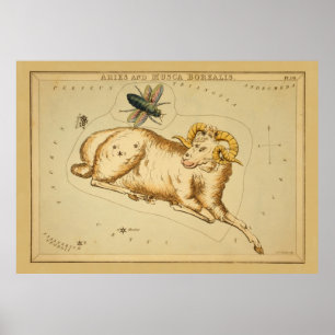 Poster Aries et Musca - Signe Vintage de l'image du Zodia