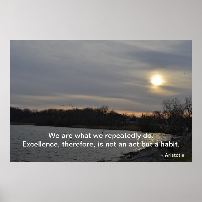 Poster Aristote - Excellence (Devant)