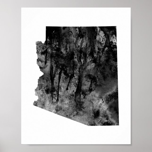 Poster Arizona (Devant)