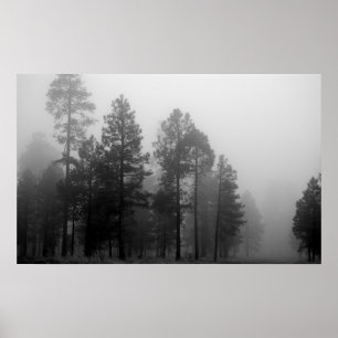 Poster Arizona Fog