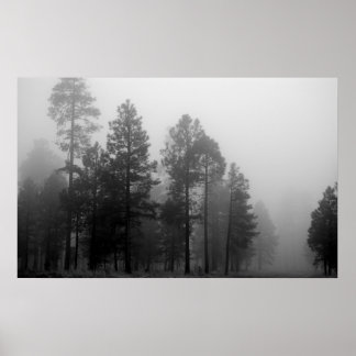 Poster Arizona Fog