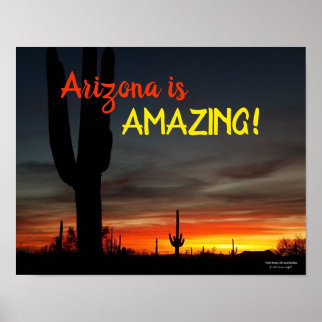 Poster "Arizona is Amazing !" Cactus Sunset Sonoran (Devant)