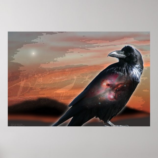 Poster Arizona Raven (Devant)