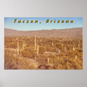Poster Arizona Saguaros