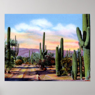 Poster Arizona Sonoran Desert Scene