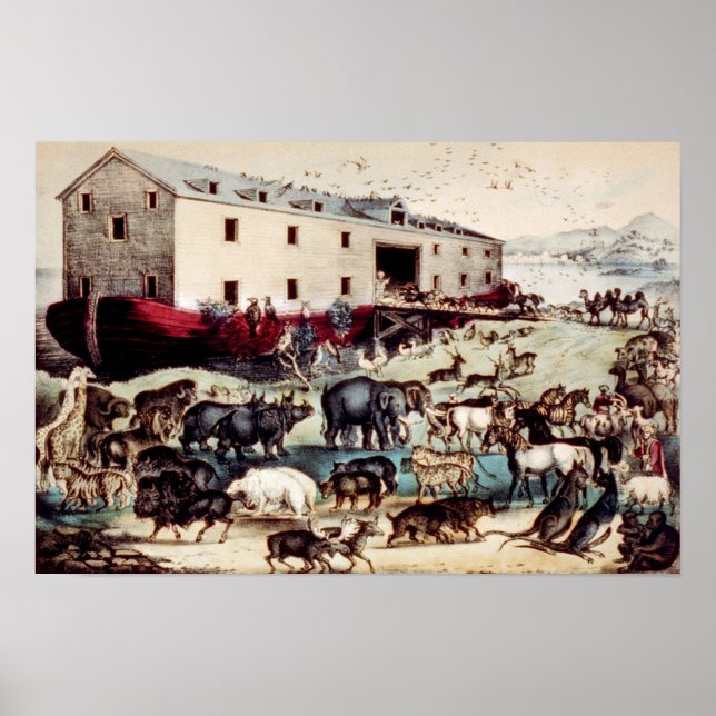 Poster Ark de Noé (Devant)