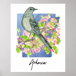 Poster Arkansas État Naturel Moqueur Fleurs de Pommier
