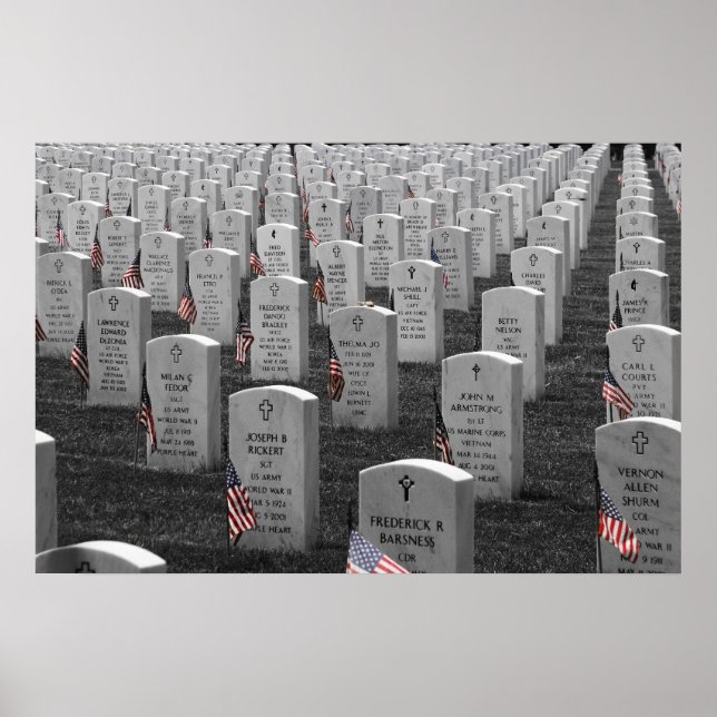 Poster Arlington B&W Drapeaux couleur (Devant)