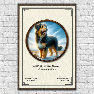 Poster Armant (chien de berger égyptien) Série de zoologi