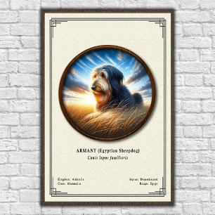 Poster Armant (chien de berger égyptien) Série de zoologi