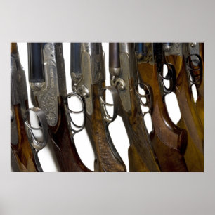 Poster armes à feu de chasse