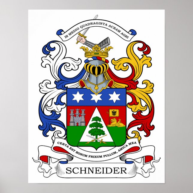 Poster Armoiries de Schneider personnalisées (Devant)