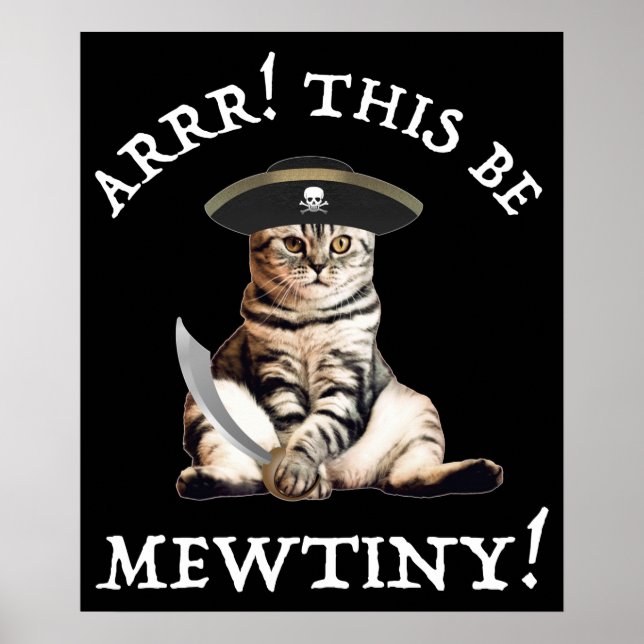 Poster Arr ! Ce Soit De La Mince ! Chat pirate (Devant)
