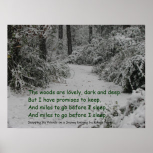 Poster Arrêt par Woods Snow