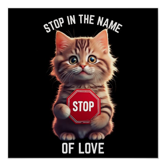Poster Arrête au nom de l'amour (Devant)