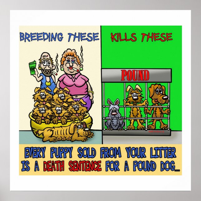 POSTER ARRÊTER LA POSTE DE REPRODUCTION DE JARDINS (Devant)