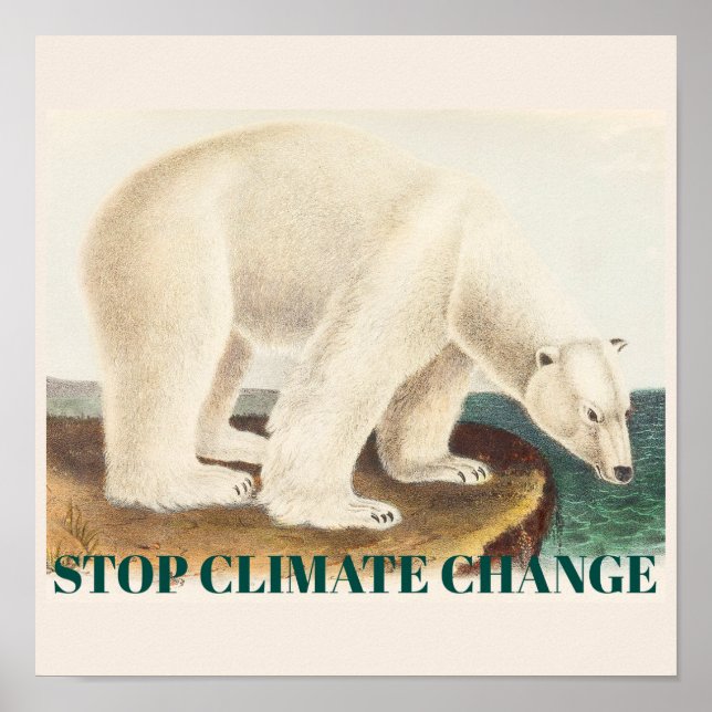 Poster Arrêter les changements climatiques Menacé Ours po (Devant)