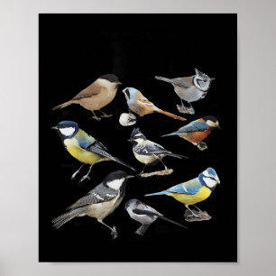 Poster Arrêtez de regarder mon dicton d'amour des oiseaux
