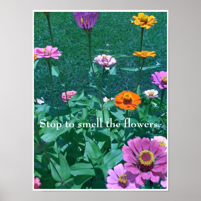 Poster Arrêtez de sentir les fleurs (Devant)