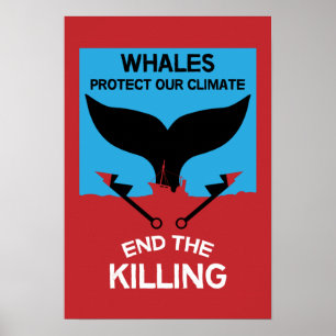Poster Arrêtez la chasse à la baleine   Protection marine