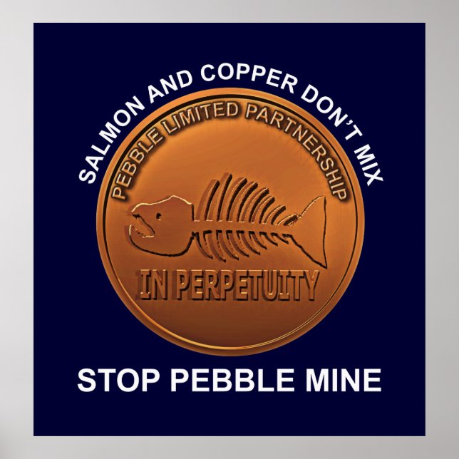 Poster Arrêtez la mine de galets - Pebble Mine Penny (Devant)
