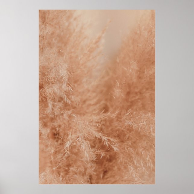 Poster Arrière - plan Brown (Devant)